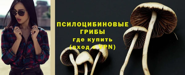 соль курить ск Арсеньев