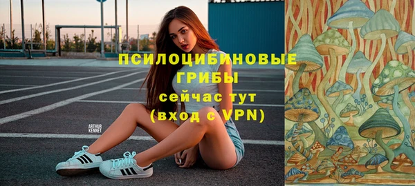 PSILOCYBIN Армянск