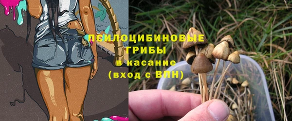соль курить ск Арсеньев