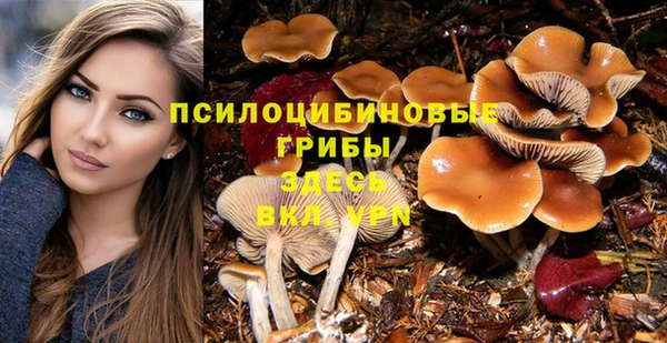 соль курить ск Арсеньев