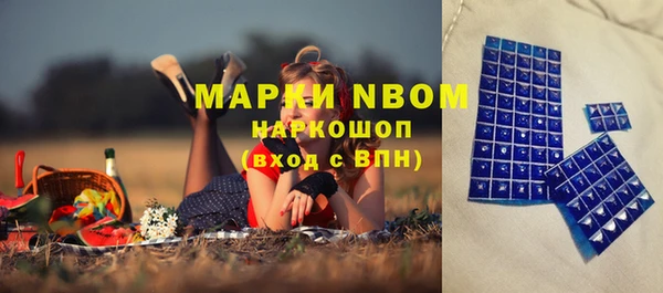 PSILOCYBIN Армянск